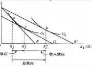 替代效应(Substitution Effect)名词解释