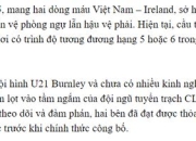 国足和王钰栋的压力来了！越南打造新蒋光太，英超后卫即将加盟