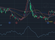资金流量指标（MFI）：揭秘资金流向的秘密武器