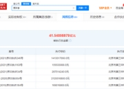 贾跃亭被恢复执行14亿 同被执行人员还有甘薇吴孟