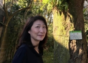 著名音乐人郑华娟去世 代表作《太委屈》《蒙娜丽莎的眼泪》等